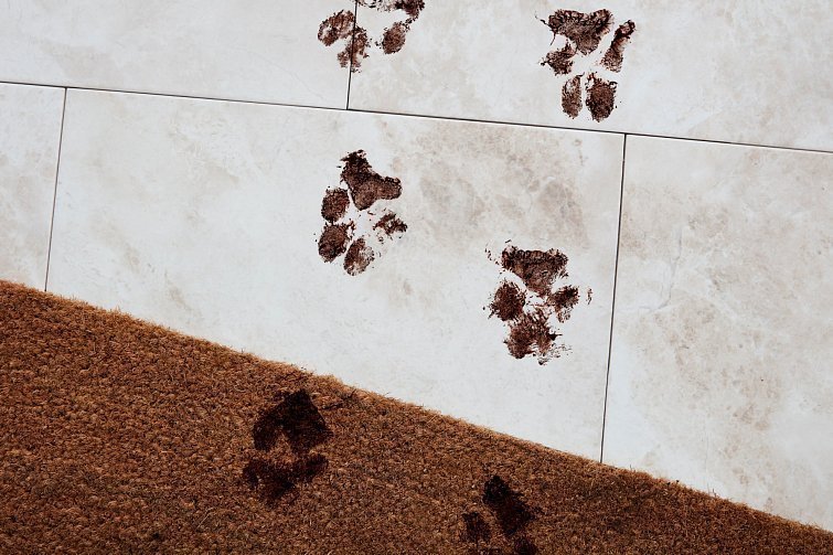 Самые эффективные средства для чистки ковров и избавления от неприятных запахов